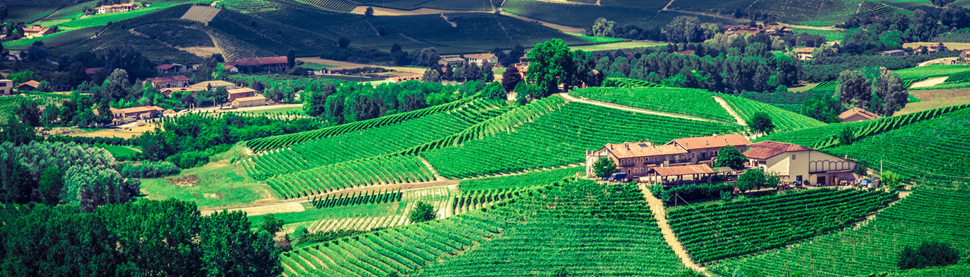 Wine Retreat