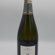 Gabriele Scaglione - MC Alta Langa - 2016.jpg