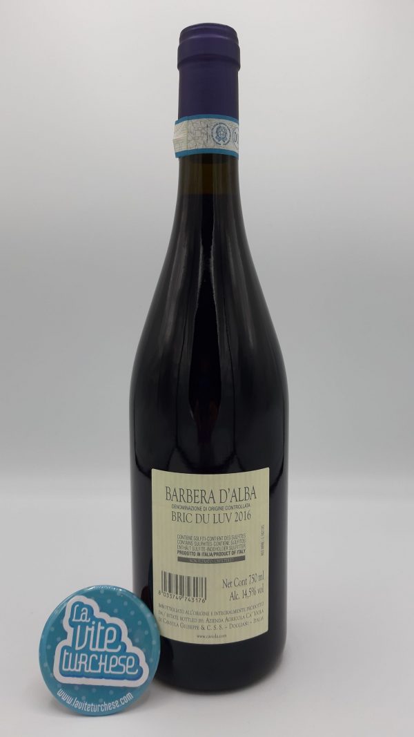 Vino rosso Piemonte Dogliani uva barbera 100%