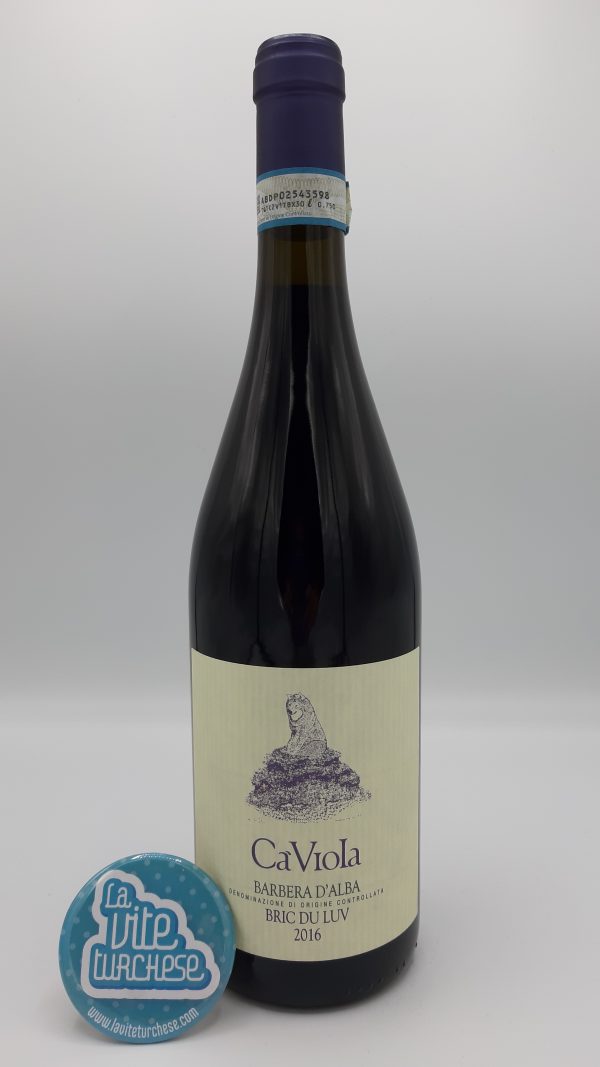 Small production Piedmont artisanal red wine excellent with meats and cheeses obtained from Barbera grapes