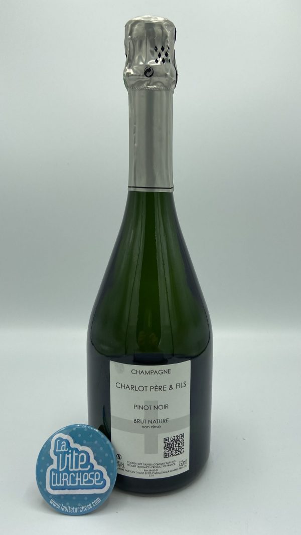 Charlot Père et Fils - Champagne Pinot Noir Brut Nature - back.jpg