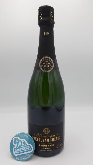 Vino spumante Champagne metodo classico vintage 2006 pieno fresco raffinato ottenuto con uva Chardonnay e Pino Nero perfetto con il pesce crostacei e risotti