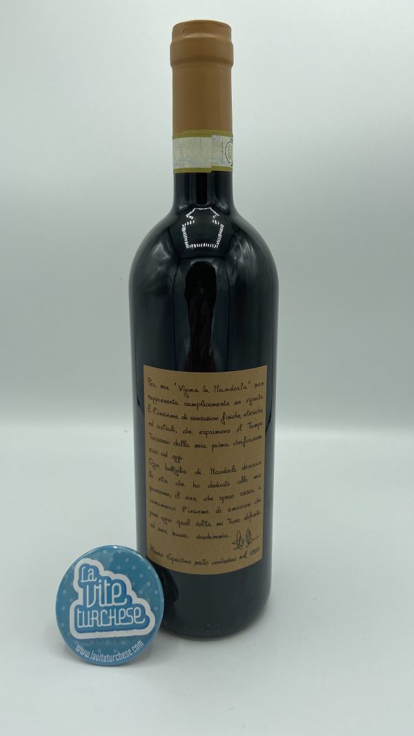 Barbera red wine Vigna la Mandorla Asti grape Barbera 100%