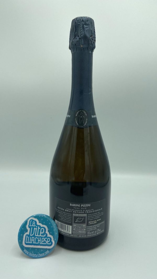 Barone-Pizzini-Tesi-Due-back