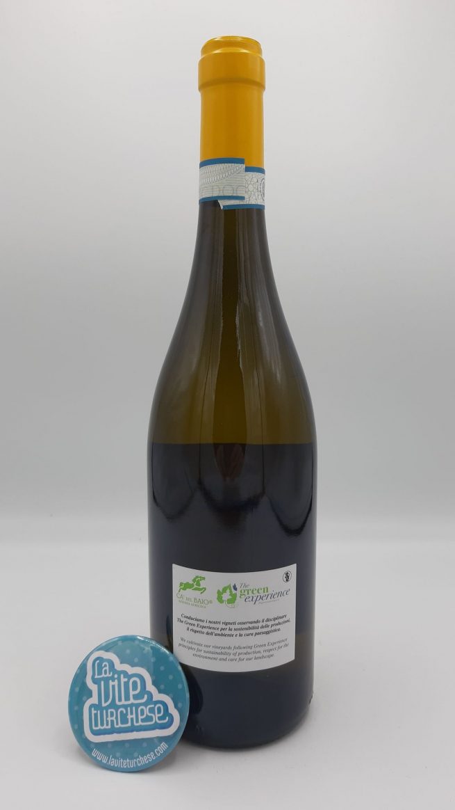 Ca' del Baio – Langhe Riesling Fré – 2018 – back.jpg