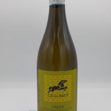 Langhe Treiso white wine white wine Rhine Riesling international grape Langhe Treiso fresh artisanal hydrocarbon obtained with Riesling grapes perfect with fish and fresh cheeses