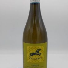 Ca' del Baio – Langhe Riesling Fré – 2018.jpg vino bianco riesling renano vitigno internazionale Langhe Treiso artigianale fresco idrocarburo ottenuto con uva riesling perfetto con il pesce e i formaggi freschi