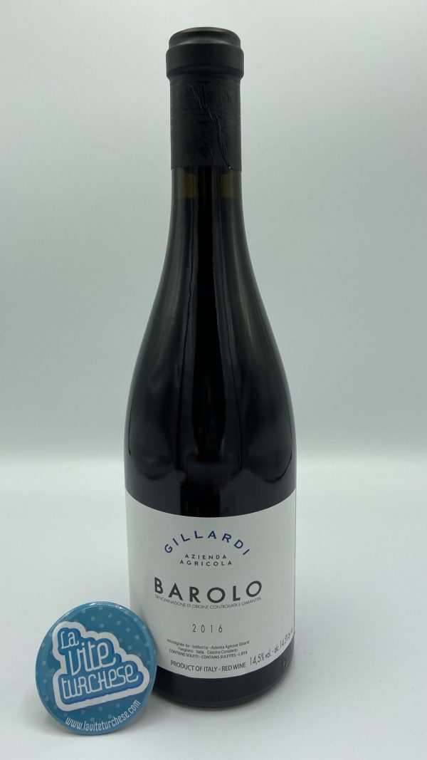 Vino rosso Piemonte artigianale pregiato produzione limitata Barolo Langhe DOCG ottenuto da sola uva nebbiolo perfetto con tagaliatelle al ragù