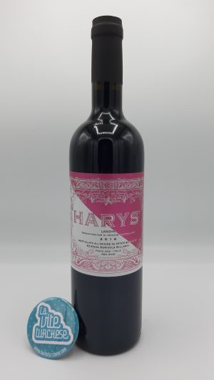 Piedmont artisanal red wine, limited production, Langhe obtained from only Syrah grapes, perfect with meat main courses