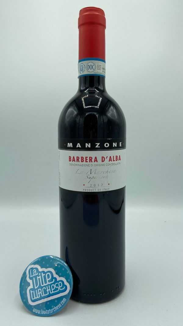 red wine Barbera d'Alba Monforte Langhe Piedmont traditional artisan scented full enveloping acidity obtained with only Barbera grapes perfect with risotto and boiled meats and salami