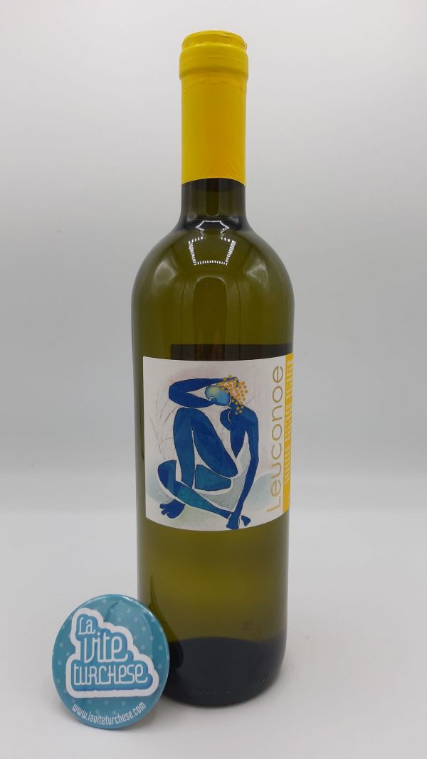white wine Basilicata volcano Vulture traditional mineral niche volcanic soils obtained with Aglianico grapes perfect with fish, cured meats, cheeses