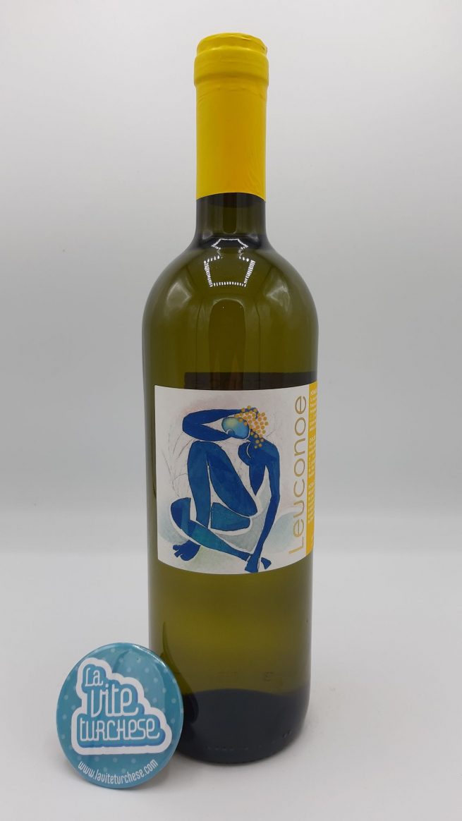 vino bianco Basilicata vulcano Vulture tradizionale minerale suoli vulcanici di nicchia ottenuto con uva Aglianico perfetto con il pesce, i salumi, formaggi