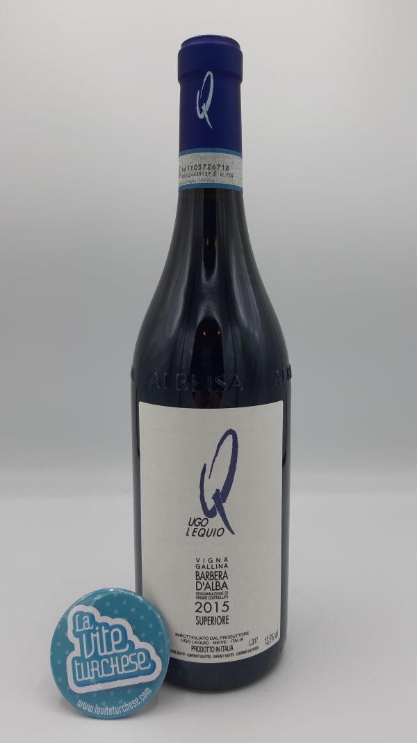 Fine artisanal Piedmont red wine Barbera d'Alba cru Gallina limited production obtained only from Barbera grapes perfect with meats and cheeses