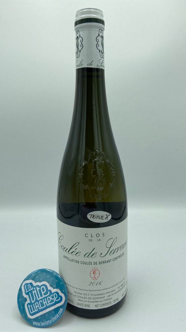 White wine Loire France fine artisan historic cellar monopoly small production produced with only chenin blanc grapes perfect with first courses of fish white meat