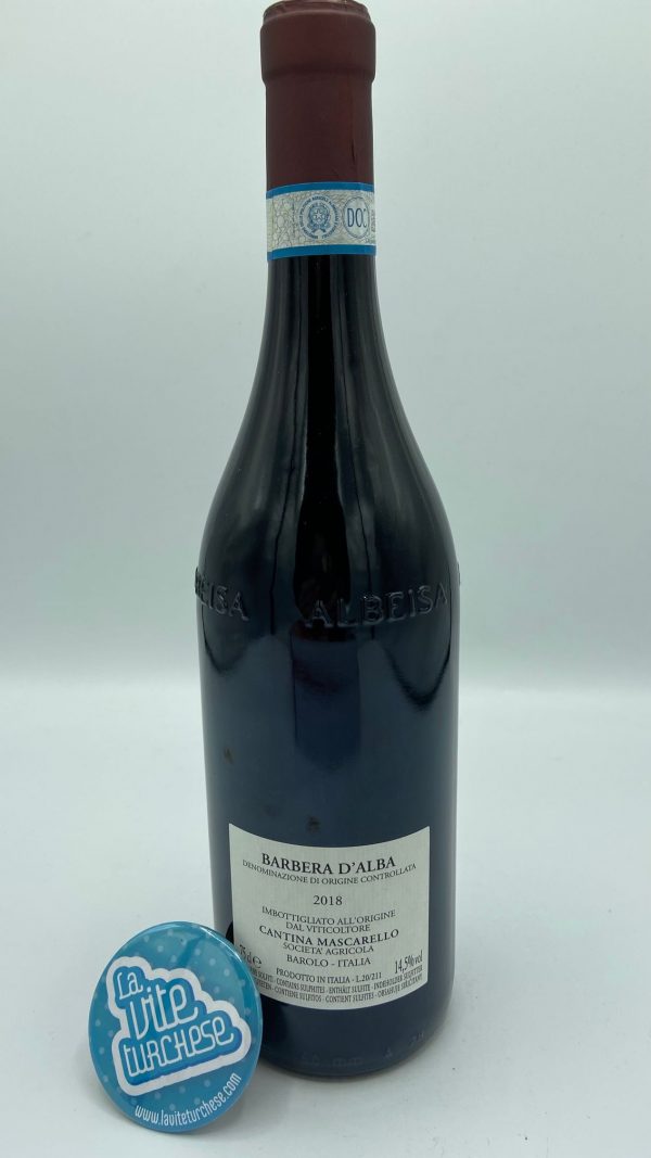 Barbera red wine Langhe Piedmont grape Barbera 100%