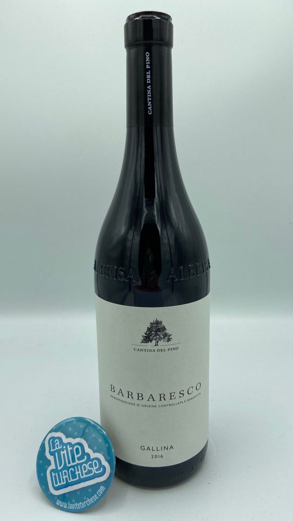 Red wine Barbaresco cru Fine artisan hen small production produced only in the best vintages produced with only Nebbiolo grapes perfect with meat main courses
