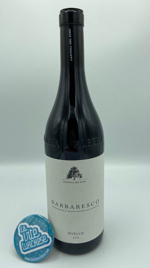 Red wine Barbaresco cru Fine artisan ovello limited production produced with only Nebbiolo grapes perfect with tagliatelle al ragù