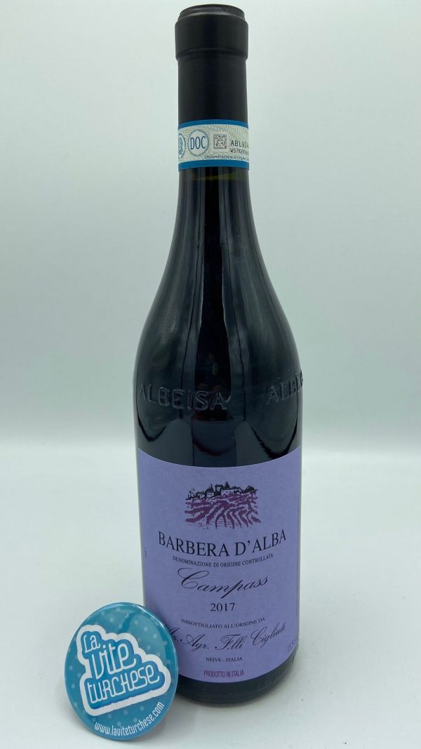 red wine Barbera d'Alba cru serraboella Neive Langhe Unesco Piedmont full enveloping modern historic boutique cellar obtained with Barbera grapes perfect with roast