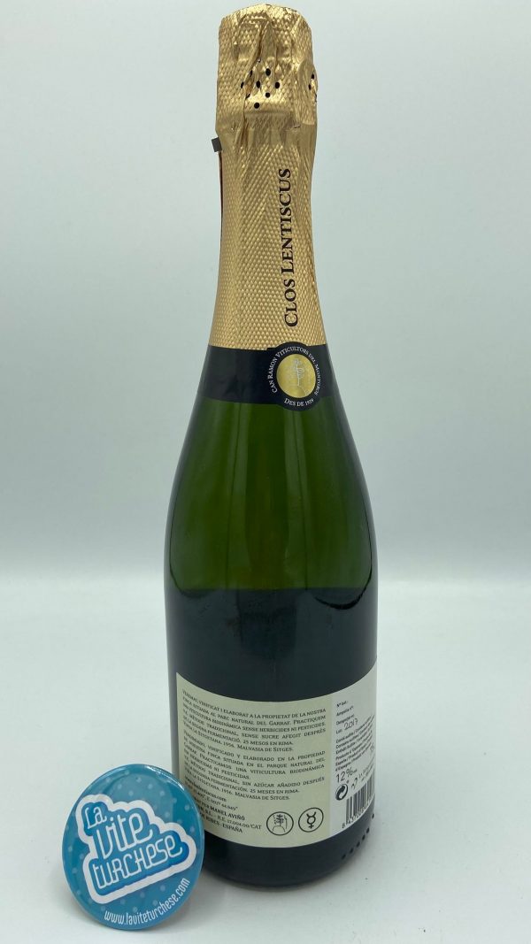 Spanish sparkling wine Penedes Catalonia grapes Malvasia from Sitges