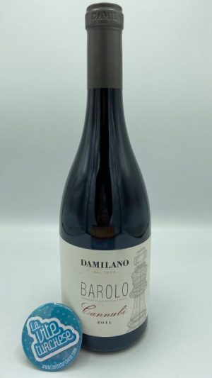 Francesco Rinaldi e Figli Barolo Brunate 2017 La vite Turchese