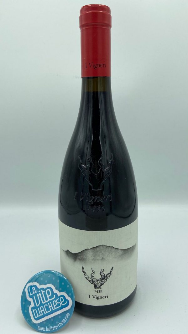 red wine Sicily Etna Unesco heritage fresh sulfur volcano tasty obtained with grapes nerello mascalese, cappuccio and alicante perfect with fish and pasta dishes