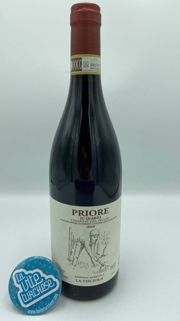 red wine Lazio Piglio DOCG elegant fresh scented obtained with Cesanese grapes perfect with amatriciana pasta and Roman-style salti
