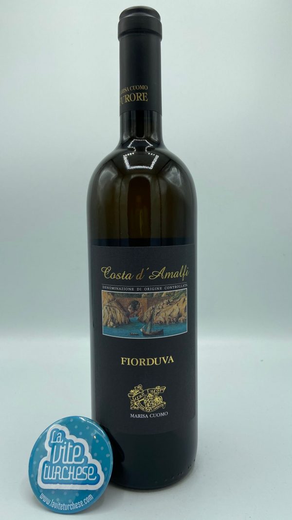 white wine Amalfi coast Furore Campania fjords heroic Mediterranean viticulture indigenous vines full enveloping long life obtained with Fenile, Ripoli, Ginestra grapes perfect with fish and shellfish