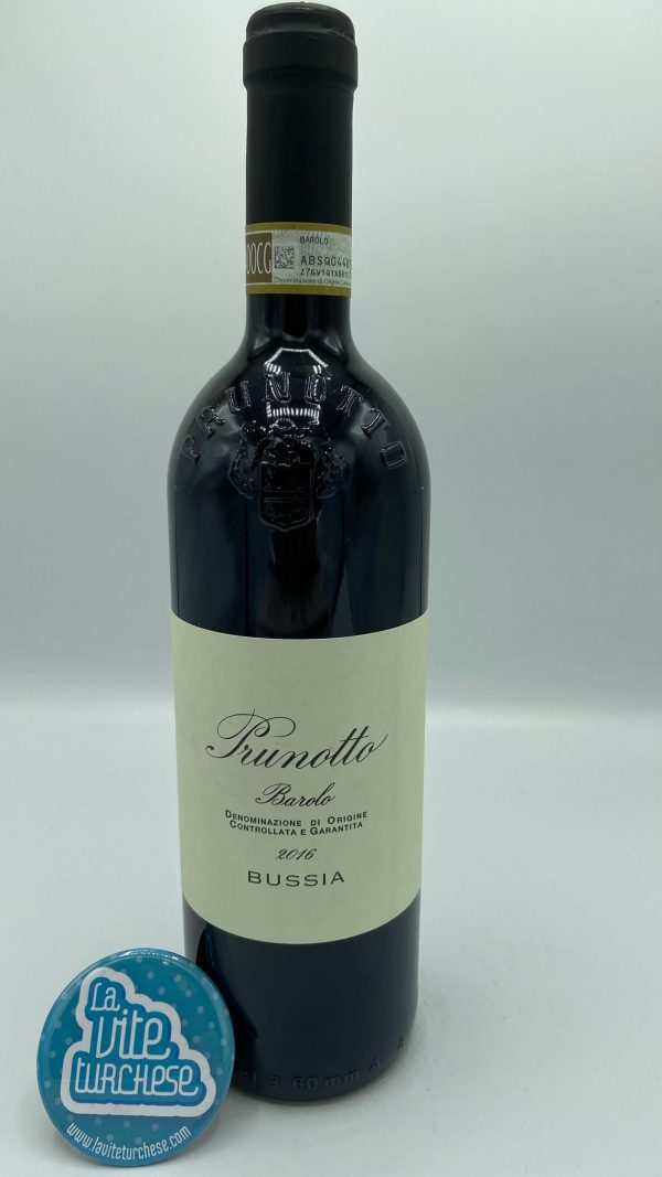 Red wine barolo cru Bussia fine craft historic cellar limited production produced with only nebbiolo grapes perfect for meditation