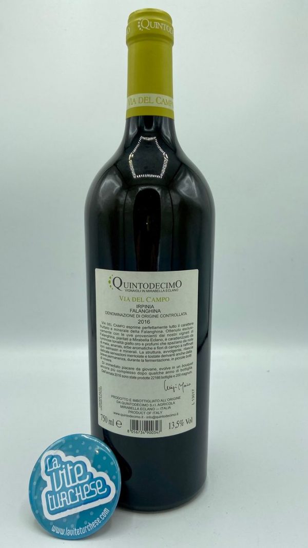 Quintodecimo – Via del Campo Irpinia Falanghina – 2016 - back Quintodecimo – Via del Campo Irpinia Falanghina – 2016 - back
