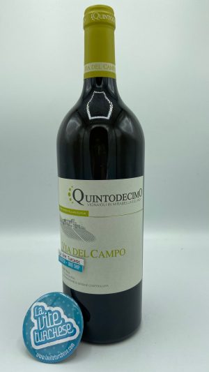 Quintodecimo – Via del Campo Irpinia Falanghina – 2016