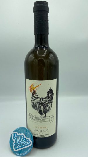 white wine Monferrato Costigliole Monferrato Piemonte macerated fresh acid boutique craft made with grapes Cortese perfect with lemon escalopes