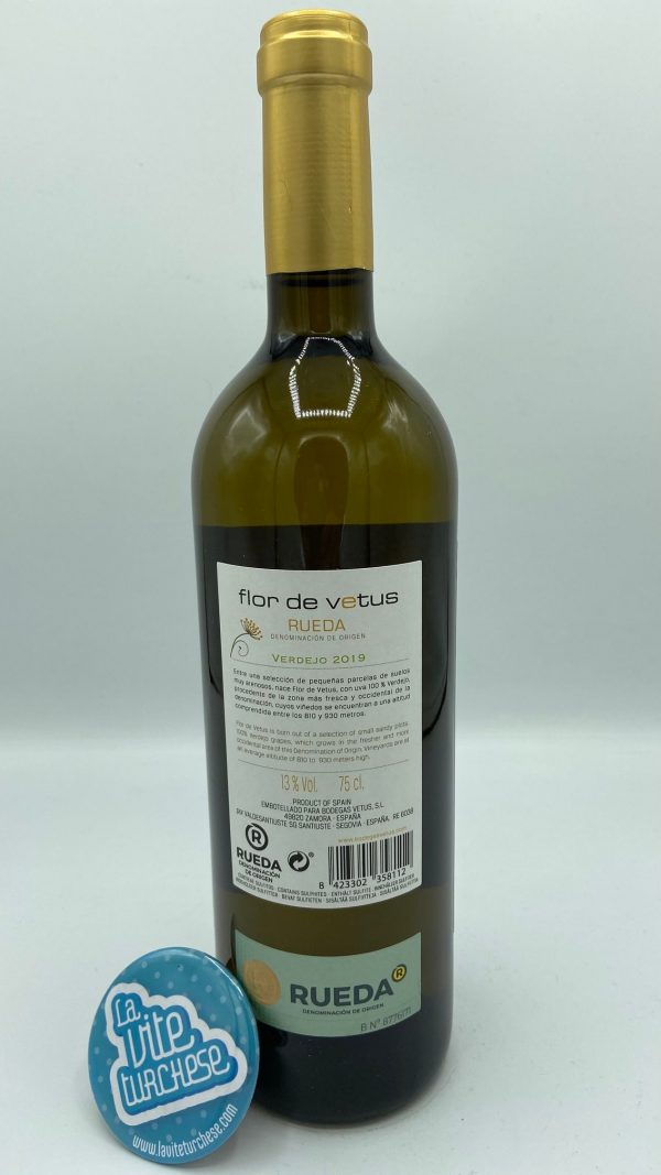 Vetus – Flor de Vetus Verdejo Rueda – 2019 - back