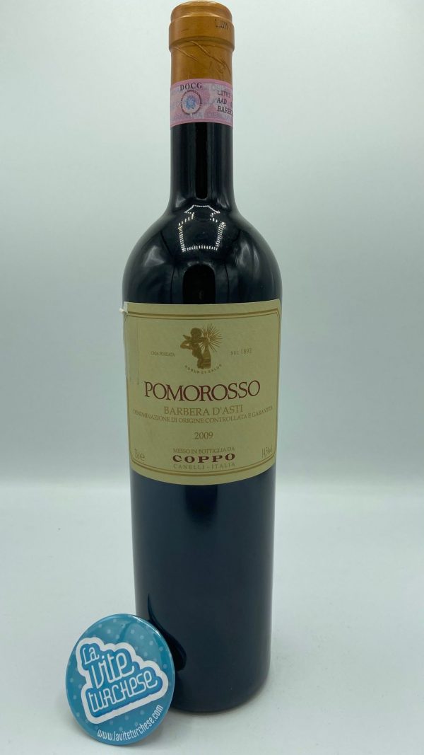 Red wine Barbera d'Asti Nizza fine craftsmanship limited production produced only in the best years historical cellar produced only with Barbera grapes perfect with salami and mature cheeses