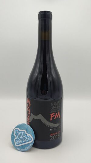 Frank Cornelissen - Munjebel Terre Siciliane FM Feudo di Mezzo produced in the vineyard of the same name on the volcano Etna, vinified in fiberglass.