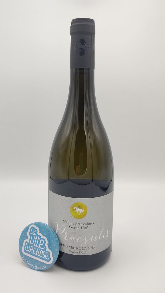 Gump Hof - Pinot Bianco Praesulis produced in the Isarco Valley in South Tyrol vinified partly in steel tanks and in tonneaux.
