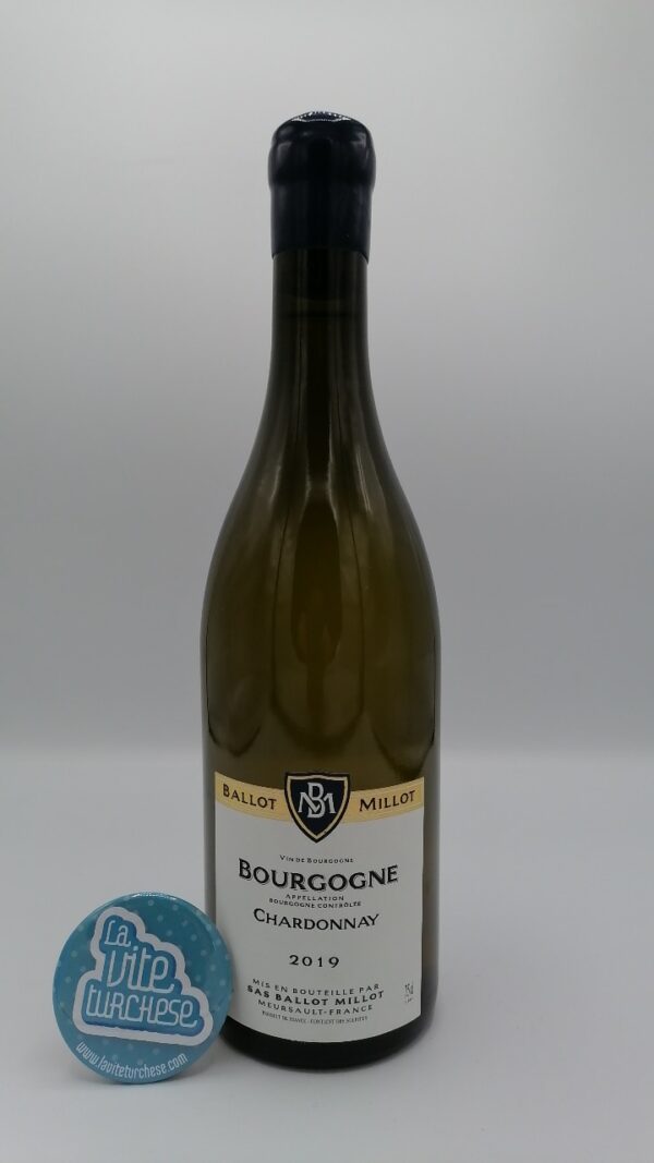Ballot Millot - Bourgogne Chardonnay vinified whole cluster in barrels with indigenous yeasts for about 12 months.
