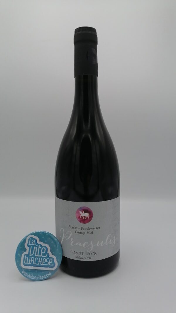Gump Hof - Pinot Noir Praesulis produced in the Isarco Valley in South Tyrol, vinified for 12 months in barrique.