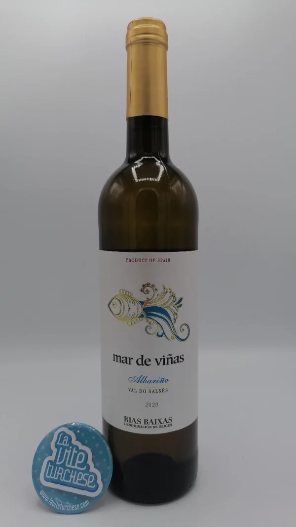 Adegas Gran Vinum - Mar de Viñas Albariño produced in Rias Baixa in spain with vineyards facing the Atlantic Ocean.