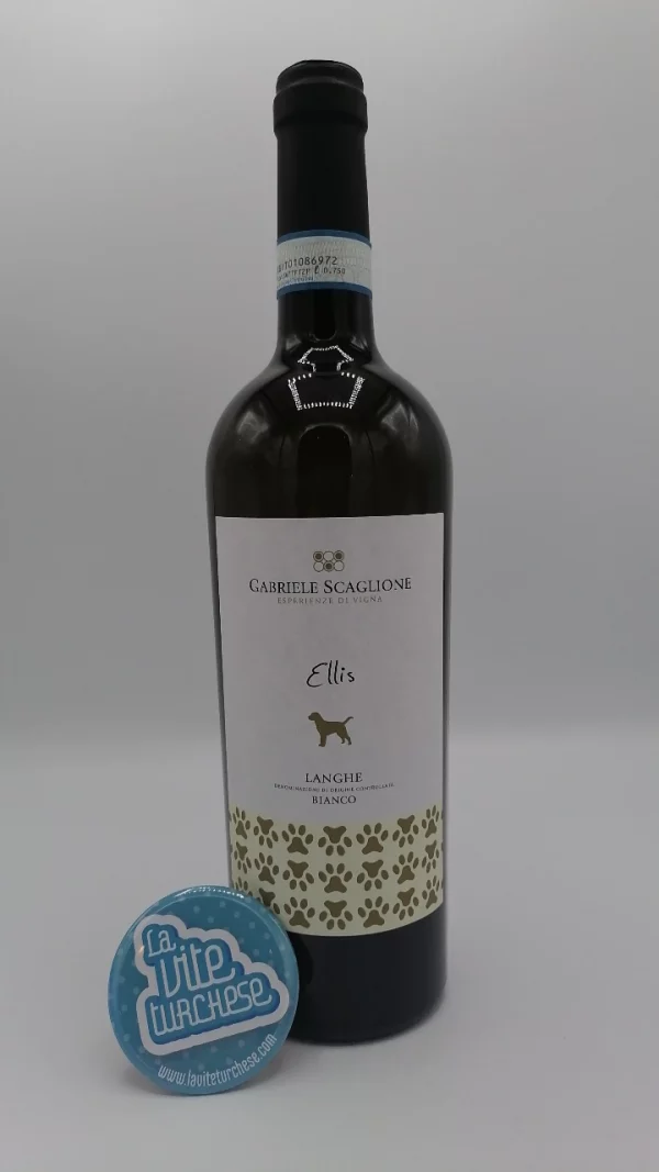 Gabriele Scaglione – Ellis Langhe Bianco prodotto con uva Arneis e Chardonnay nel Roero e nelle Langhe. Vino pieno.
