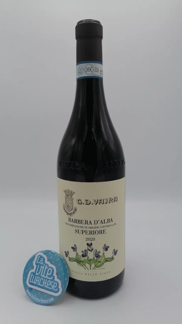 G.D. Vajra – Barbera Superiore Viola delle Viole prodotta a Barolo, con un affinamento di quasi due anni in botti.