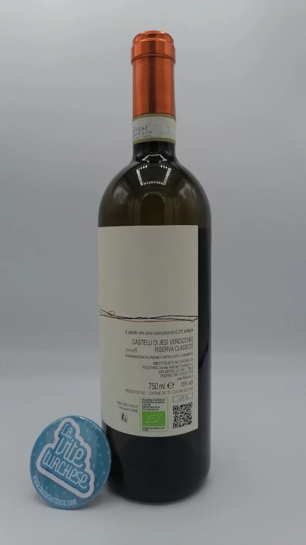 Filodivino – Dino Verdicchio dei Castelli di Jesi Riserva prodotto nelle Marche da piante di 45 anni con delle rese per ettaro molto basse.