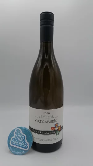 Massa Vineyards-Derthona Costa del Vento produced with Timorasso grapes in the Tortonese hills in the southern part of Piedmont.
