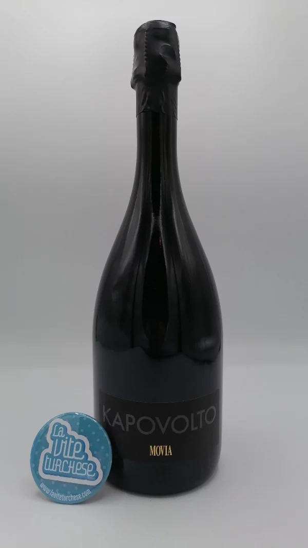 Movia - Kapovolto Zero Dosage made from Chardonnay grapes in the collio between italy and Slovenia with 48 months on the lees.
