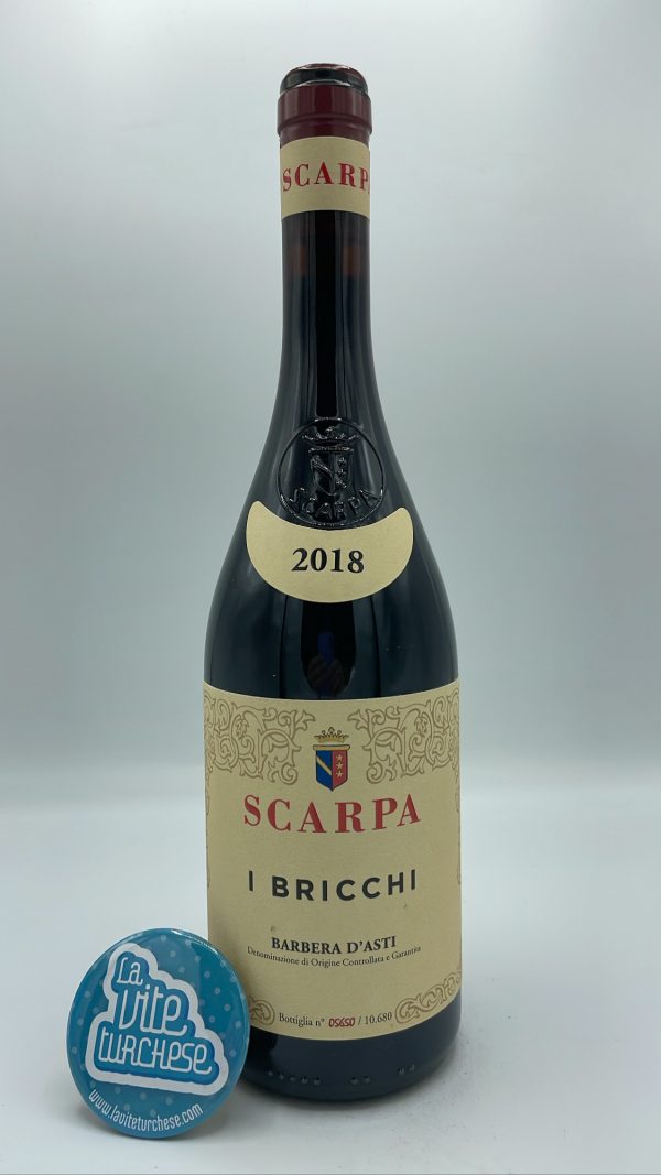 Scarpa – Barbera d'Asti I Bricchi prodotto nell'omonima vigna tra Castel Rocchero e Aqui Terme, vinificata per 2 anni in rovere.