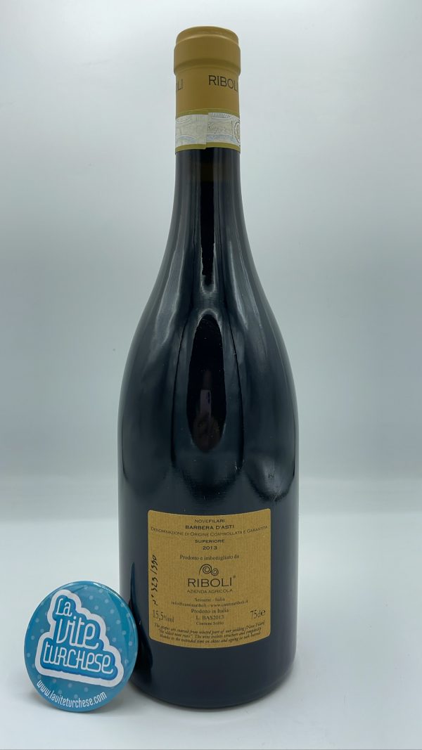 Riboli - Barbera d'Asti Superiore 9 Filari produced in the Aqui Terme area, with 50-year-old plants, 990 bottles produced.