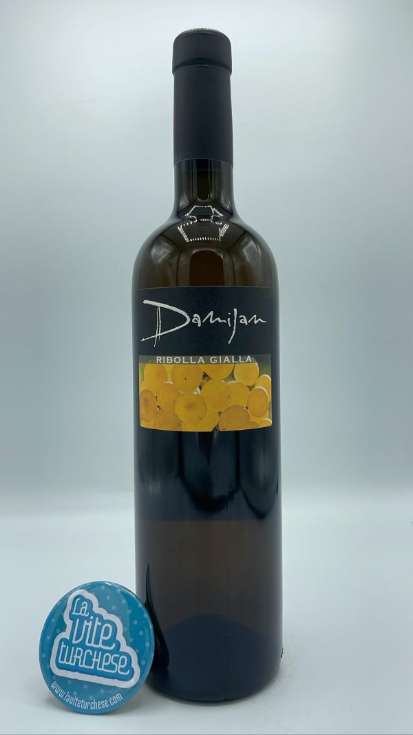 Damijan Podversic - Ribolla Gialla prodotta nel Collio friulano, vinificata con una macerazione sulle bucce per diversi mesi.