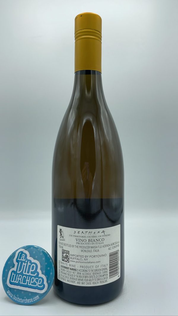 Vigneti Massa – Derthona Bianco prodotto con uva Timorasso nei colli tortonesi in Piemonte, dal pioniere Walter Massa. Vinificazione in acciaio.