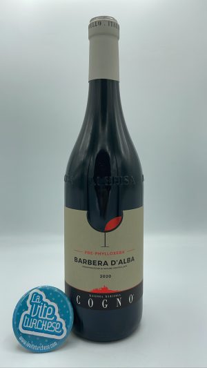 Elvio Cogno – Barbera d'Alba Pre-Phylloxera prodotta con piante centenarie nella borgata Berri di La Morra a piede franco.