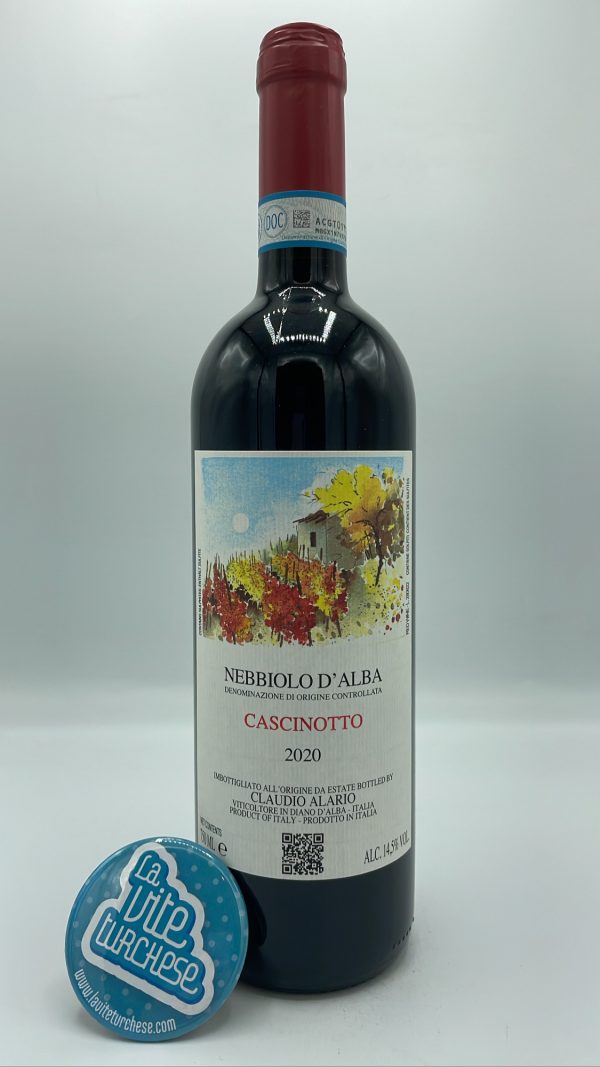 Claudio Alario - Nebbiolo d'Alba Cascinotto produced in the single vineyard in Diano d'Alba, aged for 2 years in barrique.