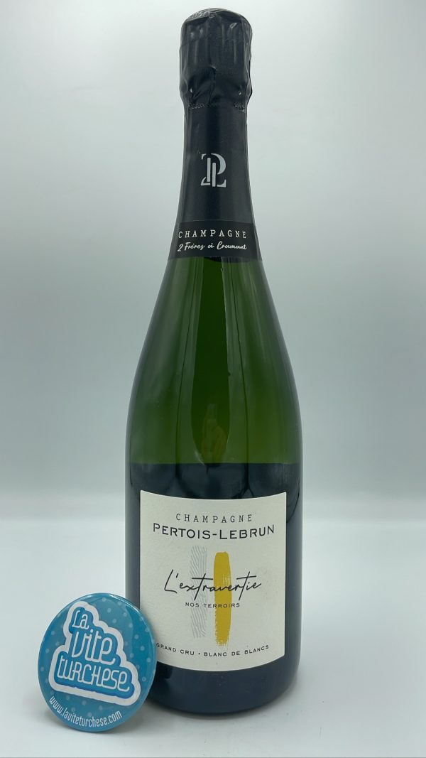 Pertois Lebrun – Champagne L'extravertie Grand Cru prodotto con vigneti gran cru nella Cote de Blanc ( Chouilly, Cramant, Mesnil sur Oger, Oiry ).